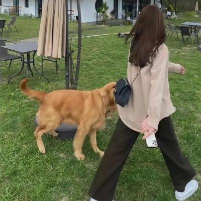一村之长之贵妇还乡